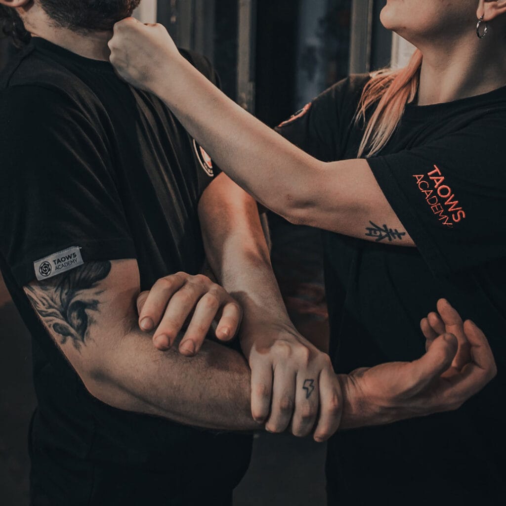 Cuarta Seccion Chi Sao - Curso Online Wing Chun Kung Fu