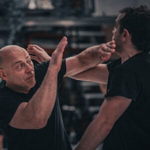 Curso Online Biu Tze Tao - Wing Chun Kung Fu