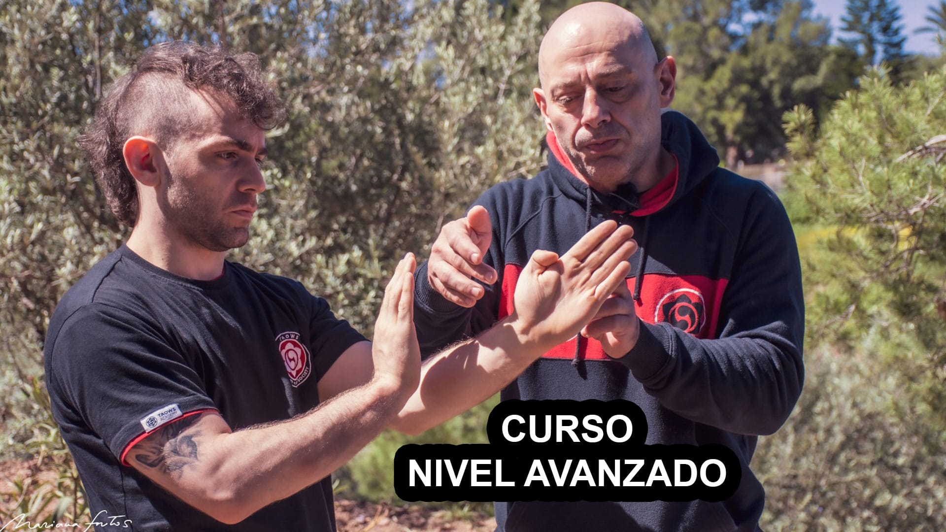 Curso Nivel Avanzado (Biu Tze Tao)