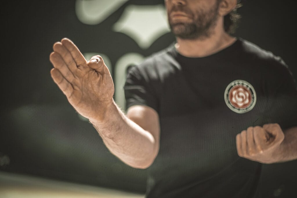 Cham Sao - Curso Online Wing Chun Kung Fu