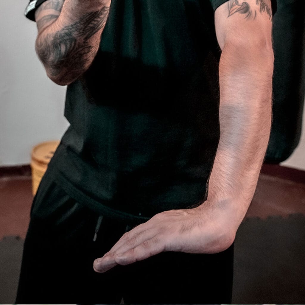 Gam Sao - Curso Online Wing Chun Kung Fu