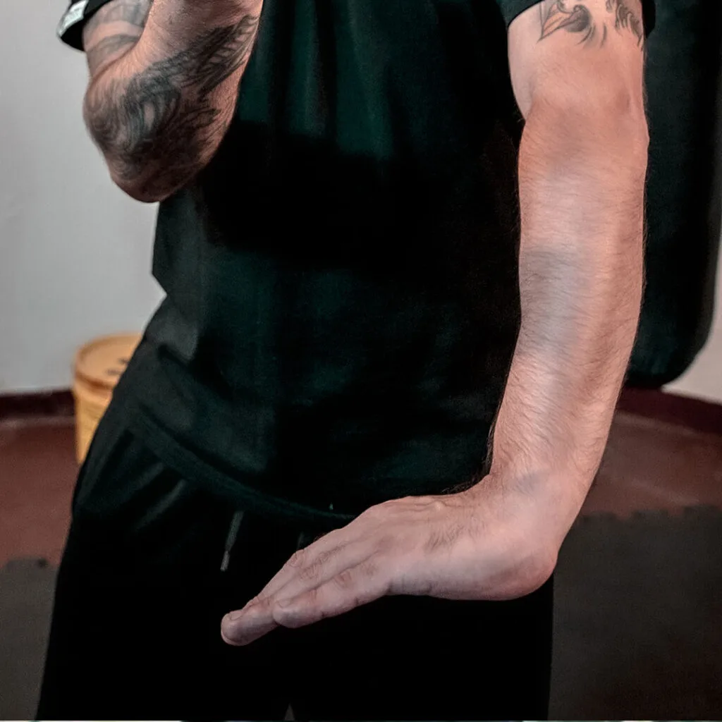Gam Sao - Curso Online Wing Chun Kung Fu