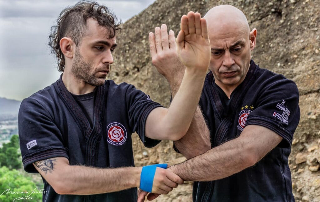 Sexta Seccion Chi Sao - Curso Online Wing Chun Kung Fu