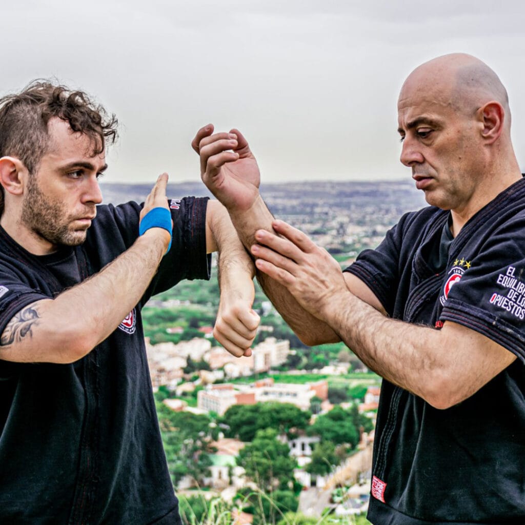 Lap Sao - Curso Online Wing Chun Kung Fu