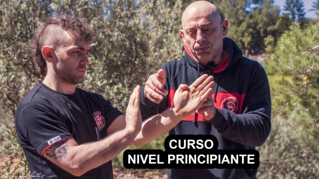 Curso Nivel Principiante - Curso Online Wing Chun Kung Fu