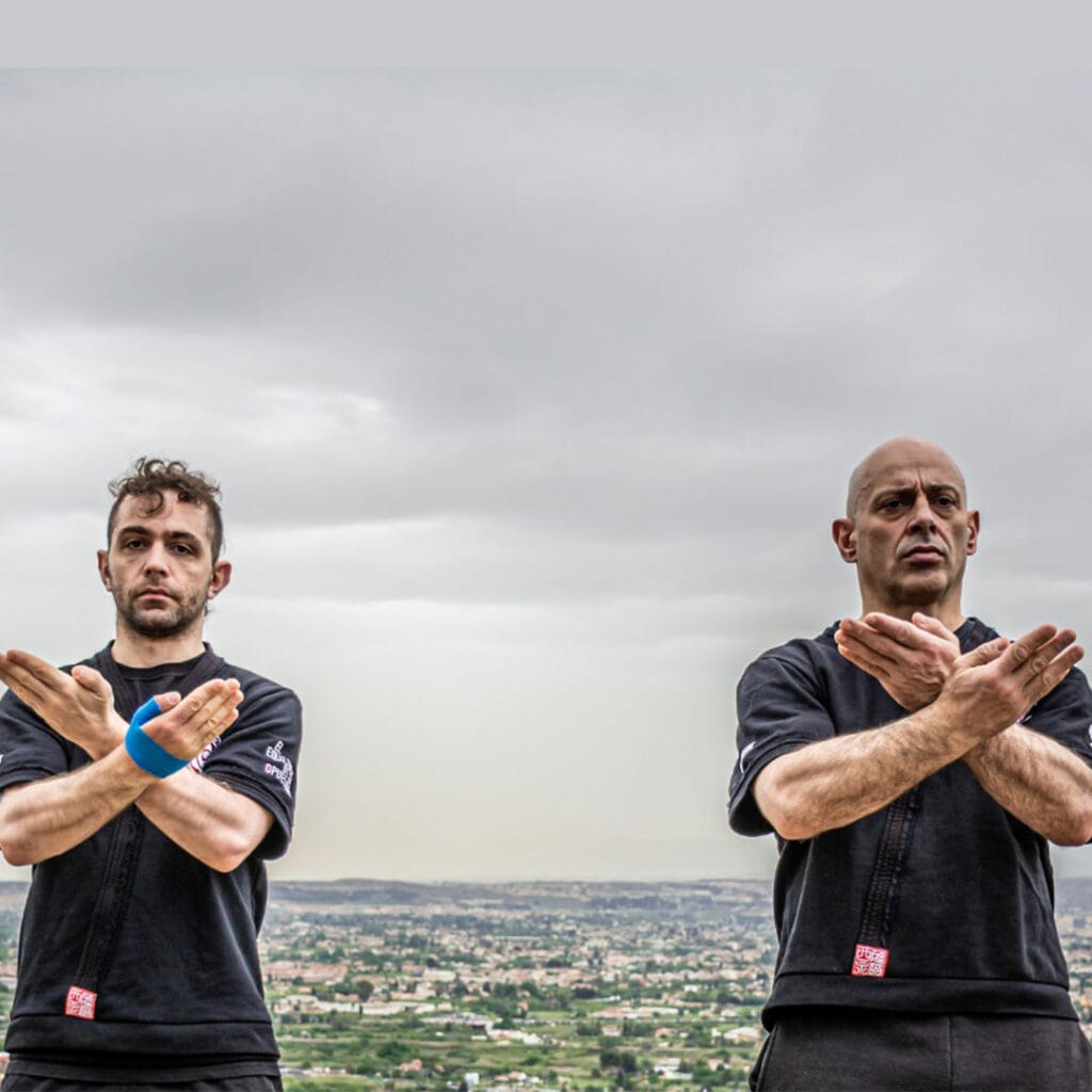 CURSO SIU NIM TAO ONLINE