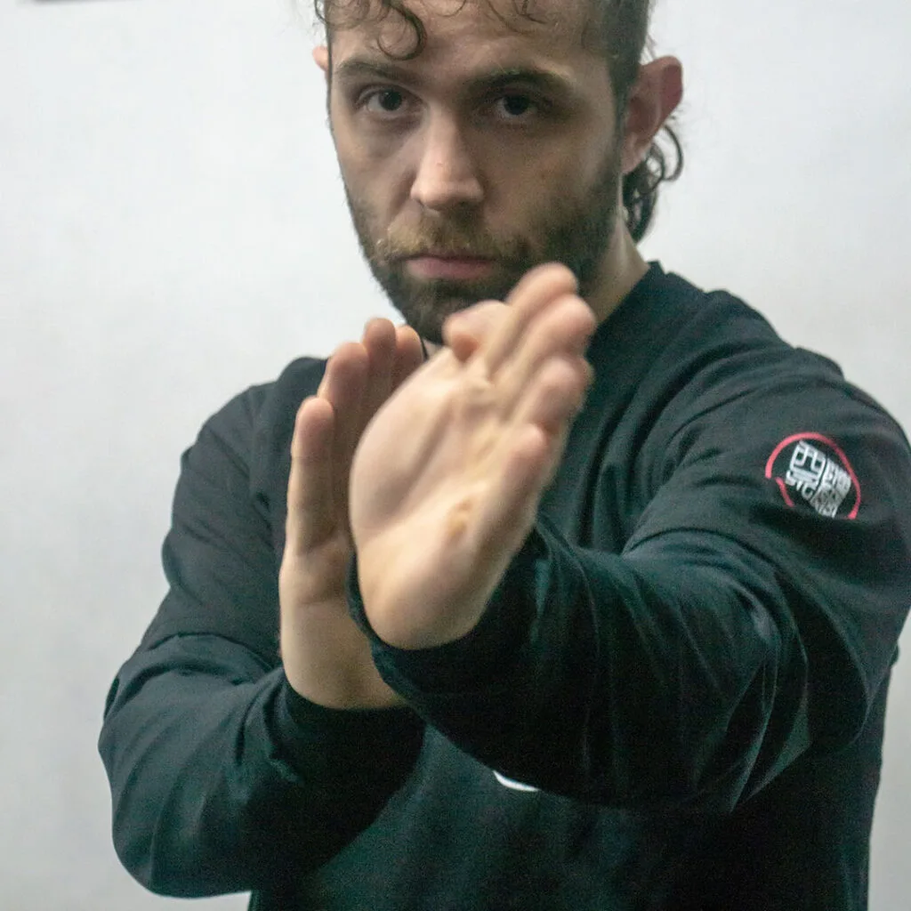 Man Sao - Curso Online Wing Chun Kung Fu