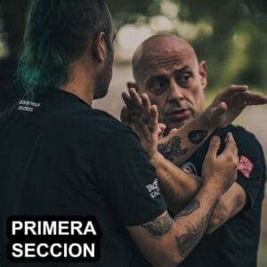 Primera Seccion Chi Sao - Curso Online Wing Chun Kung Fu