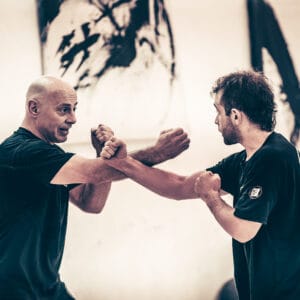 Defensa Contra Golpes de Puño - Curso Online Wing Chun Kung Fu