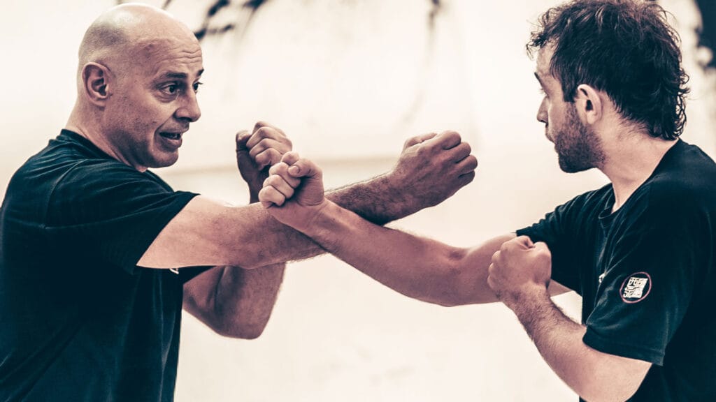 Defensa Contra Golpes de Puño - Curso Online Wing Chun Kung Fu